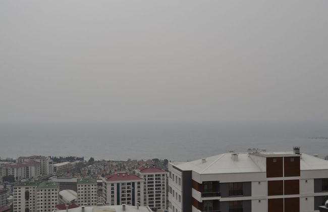 Canary Apart - Foto 19