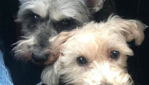 The Studio on The Green - Foto 5