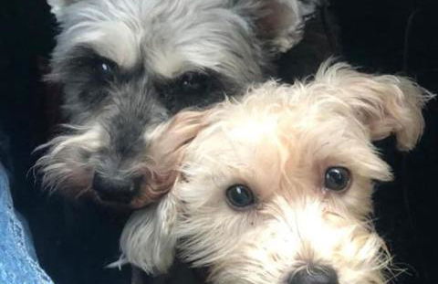 The Studio on The Green - Foto 5