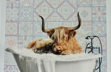 Iron Bound Gem - Foto 21