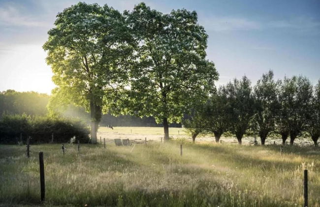 Holiday Home in Haaksbergen by Lake - Photo 26