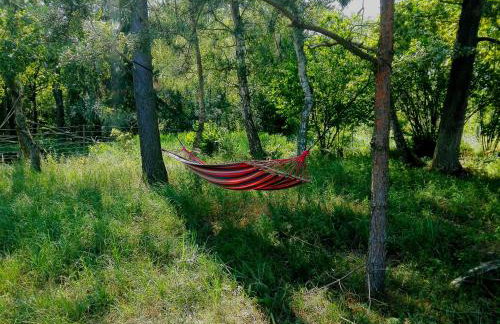 Dworek Świdwie, Górny Apartament & Harcówka - Foto 25