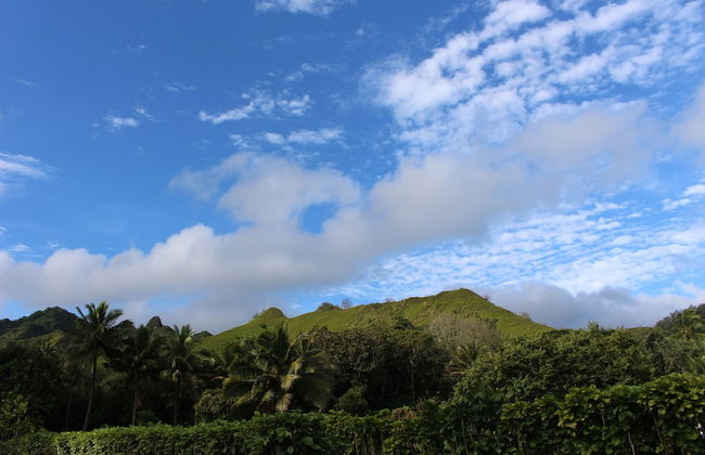 JJ's Retreat - Foto 39