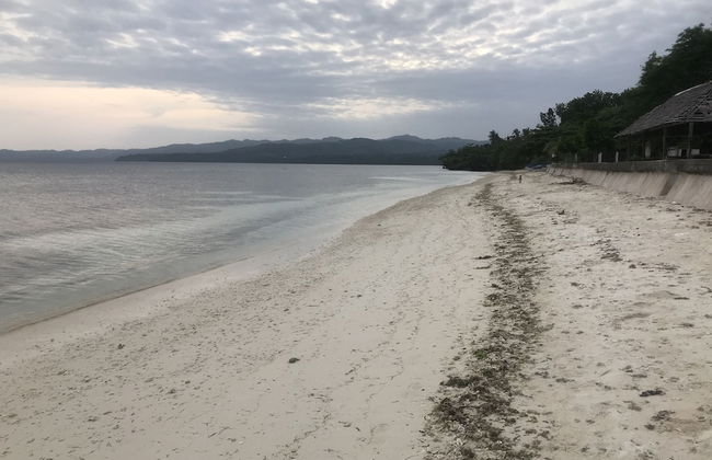 MLB BEACHFRONT APARTMENT - Foto 42