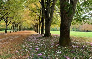 Château de l'Epinay - Domaine du Marquis de Lafayette - Foto 72