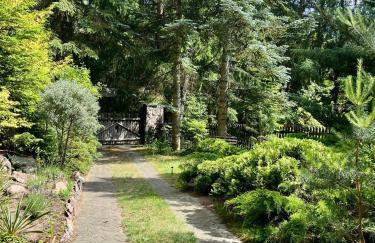 House in the forest in Podlasie - Foto 21
