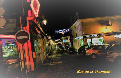 Les Hellebores - Foto 75