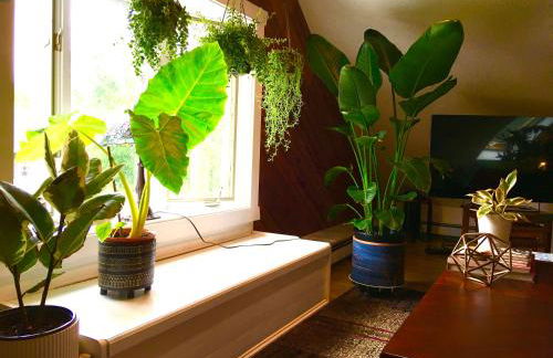 Urban Oasis in Hope Village - Foto 26