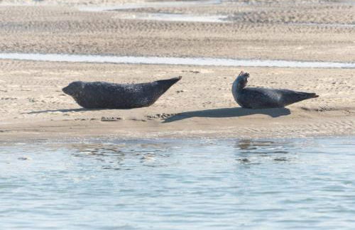 Les Portes de la baie - Foto 23