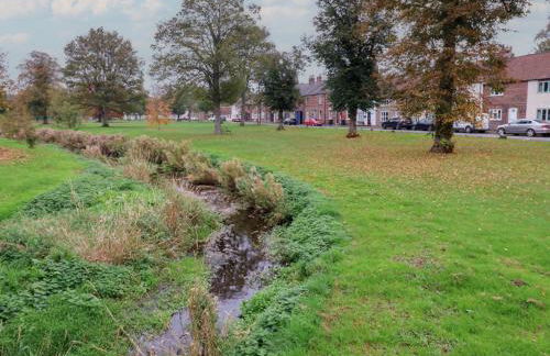 57 Cockpit Hill - Foto 29