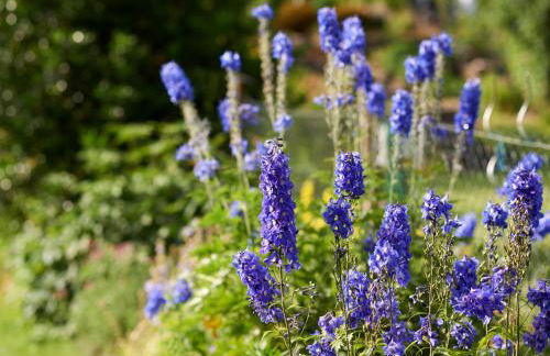 2type4 - Apartments - Foto 60