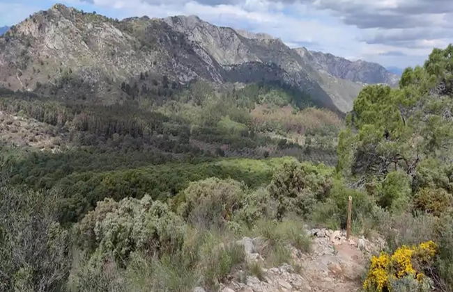 Ojen Apartment Near Golf - Foto 41