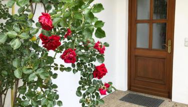 Ferienwohnung Christensen - Foto 4, Other