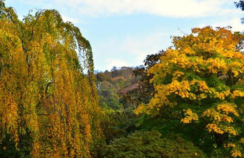 Corrie Apartment, Kinlochlaich House - Foto 27