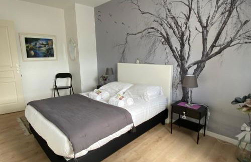 L'Aragon - Wifi - Balcon vue La Maine - Foto 11