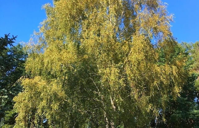 Ferienpark Canow - Photo 32