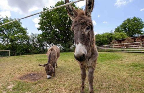 Nestledstays - The Barn House With Hot Tub - Foto 12
