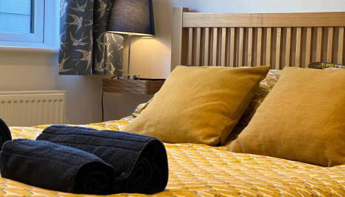 Oystercatcher, Pityme - Foto 2