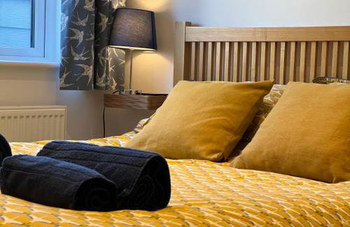 Oystercatcher, Pityme - Foto 2