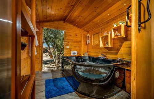 Palma Dello Zingaro - Foto 46