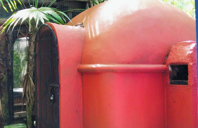 Hotel y Temazcal en Solferino - Foto 42