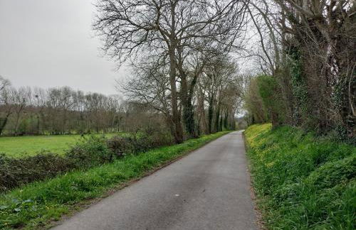 Gîte La Buhennerie 2 personnes - Foto 6
