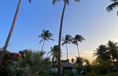 Tiki Pool's Bungalows - Foto 65