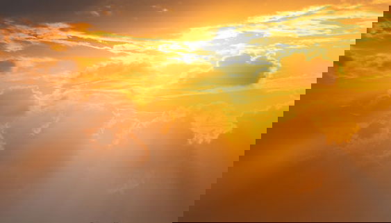 Vistas desde la habitación