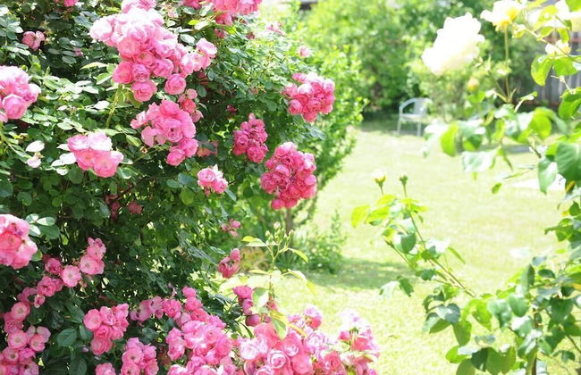 Ferienwohnung ALEX - Foto 21