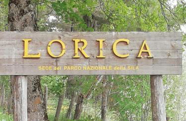 Dimora nel bosco - Foto 43