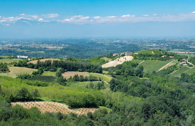 Bocca Al Lupo Apartments - Foto 75