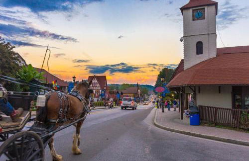 Mountain Top Retreat - Foto 33