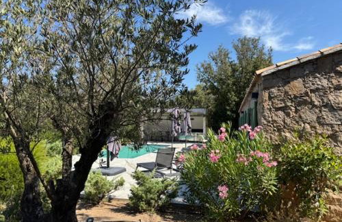 DOMAINE NAPOLEON CORSICA FIGARI - Foto 62