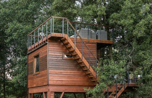 Domek na drzewie w Dolinie Uradu - Foto 6