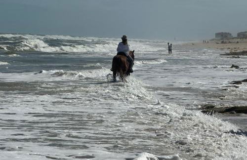 Flagler Beach Ocean Front Villa w/ Lg. In ground Pool-5-6Br/4Bth& attached apt - Photo 3