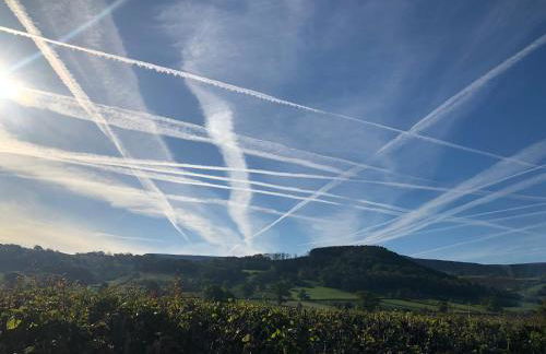 Glanhenwye Courtyard Cottages - Photo 104
