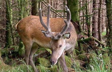 Thistle Do Fort William - Foto 24