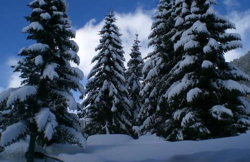 Sesvennahof - Foto 54