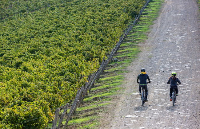 Villa Di Capovento - Foto 75