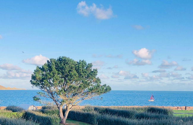 Magnificent Villa by the sea - Photo 36