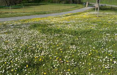 Agriturismo Villa San Lorenzo - Photo 3