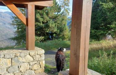 appartement aux coches 23m2 6 personnes 1 chambre - Foto 20