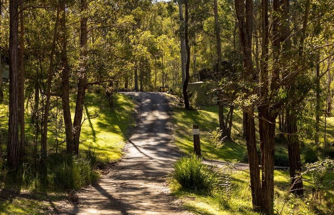 Cottages On Mount View - Foto 24