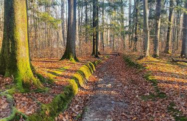 Opawski Zakątek 43 - Foto 69