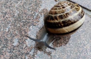 Agriturismo La Locandiera - Foto 63