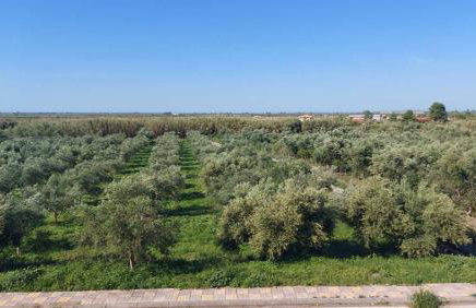 homonatura. sense of native living. - Foto 26