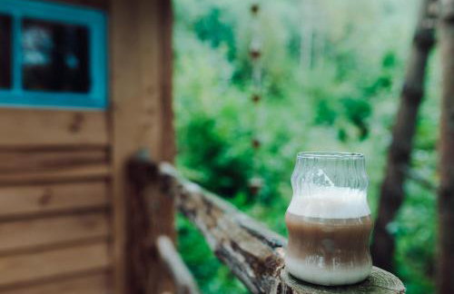 Iglasta chata - Foto 31