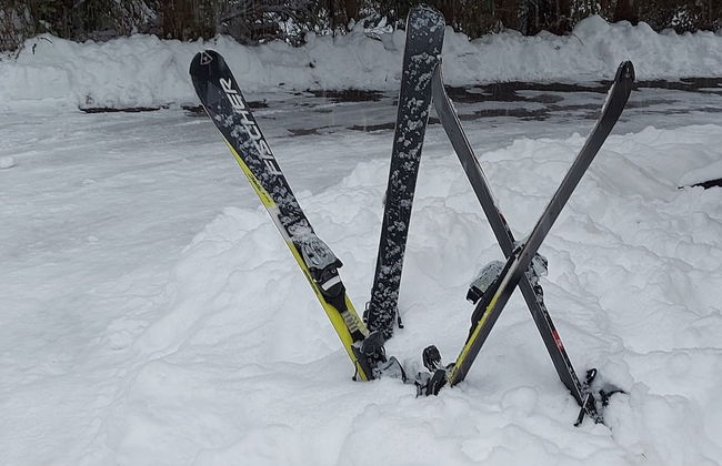 Haus Heidelberg - Foto 67