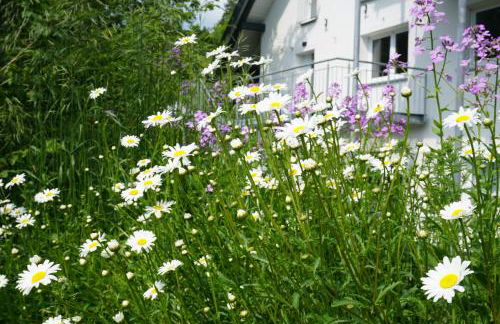 Loft "Island" Ferienwohnung Leutkirch Isny im Allgäu - Foto 9