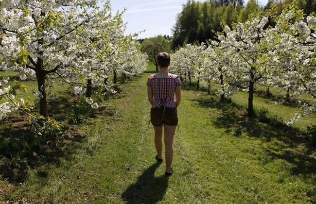 Ferienhof Stärk - Foto 22